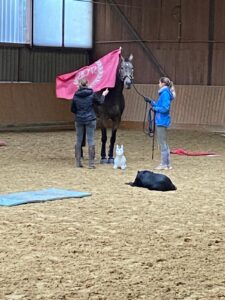 Read more about the article 🐴 Gelassenheits- und Trailtraining mit Nadja Eisenhauer